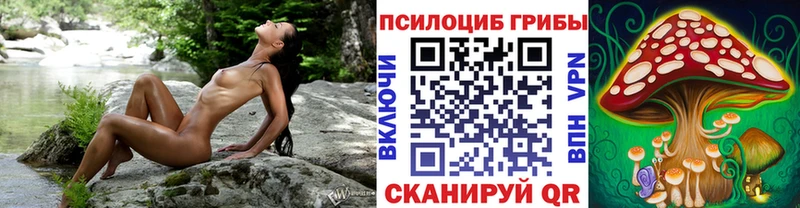 Галлюциногенные грибы Psilocybe  Юрюзань 